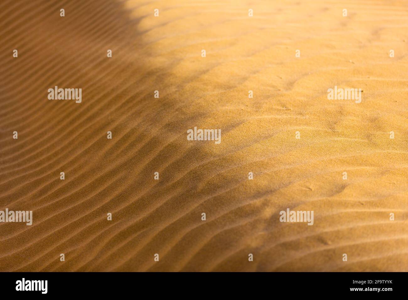 Vagues de sable dans le désert Banque D'Images