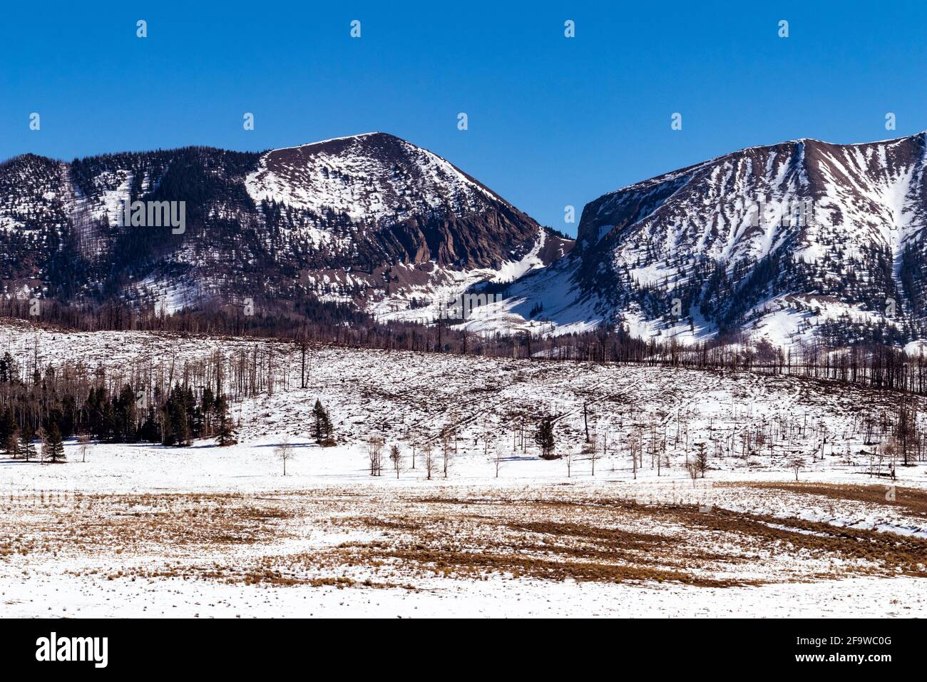 Chaîne de Culebra des montagnes Sangre de Cristo le Sangre Les montagnes de Cristo sont la plus méridionale des montagnes Rocheuses Montagnes Banque D'Images