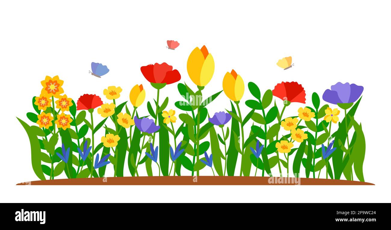 Bordure de fleurs d'été avec papillon dans le style de dessin animé plat. Lit de fleur précoce, tulipe colorée, jonquilles dans l'herbe. Forêt nature printemps élément de conception de paysage. Isolé sur une illustration vectorielle blanche Illustration de Vecteur