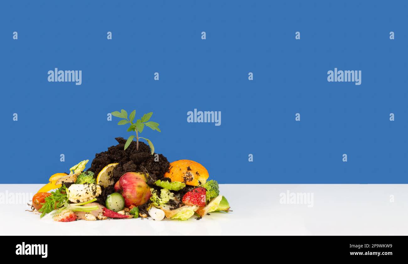 déchets alimentaires avec compost et plante poussant dans la pile, il n'y a pas de gaspillage dans la nature texte, recycler les déchets alimentaires par compostage et la culture de votre propre nourriture Banque D'Images