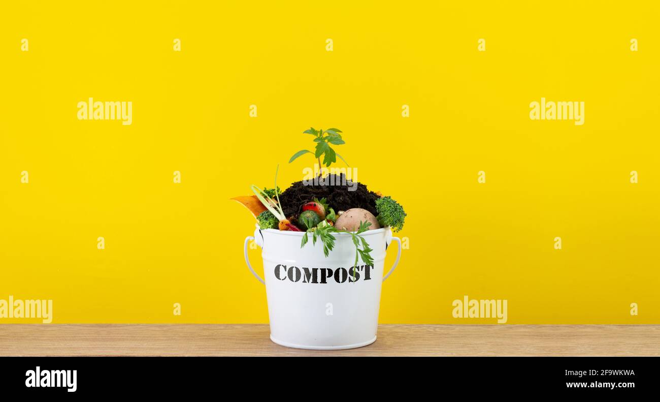 Seau à compost de cuisine contenant les déchets alimentaires de cuisine avec usine de tomate en haut, recyclez les déchets alimentaires en compostant et en cultivant vos propres aliments Banque D'Images