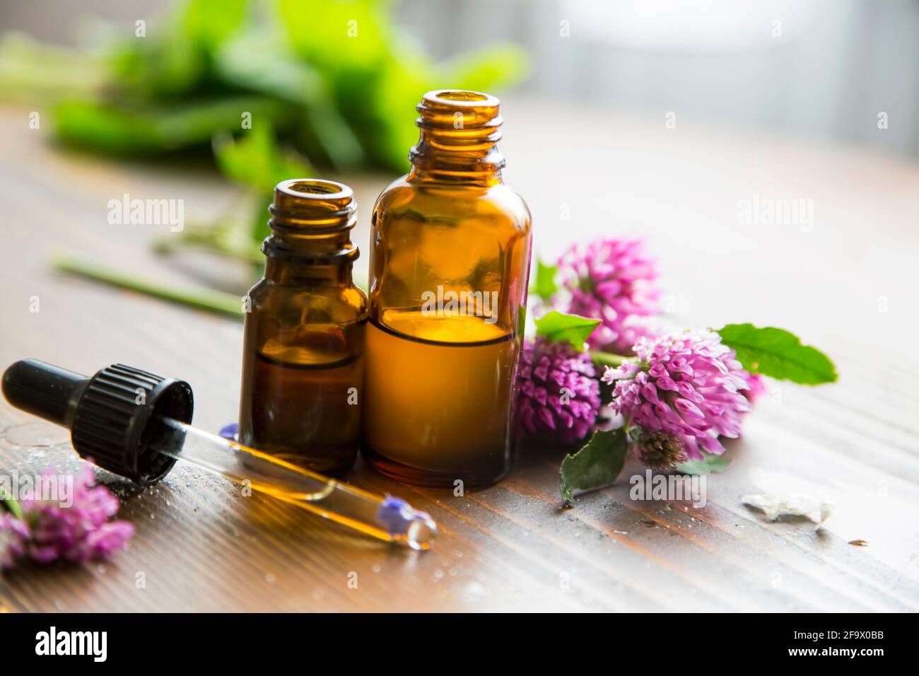 Médecine alternative, huiles d'herbes médicinales, huiles d'aromathérapie  aux plantes médicinales et aux herbes, bouteilles d'huiles essentielles  Photo Stock - Alamy