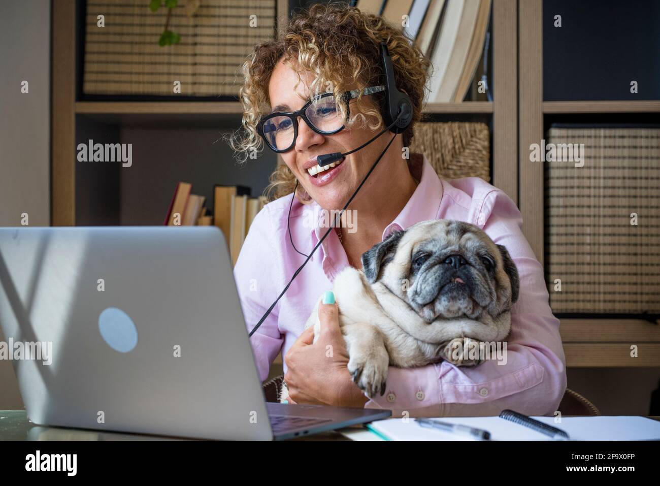 Vidéoconférence, jeune femme d'affaires adulte, parle et travaille à la maison sur un ordinateur portable avec son pug fou drôle chien ensemble dans l'amitié - conce Banque D'Images