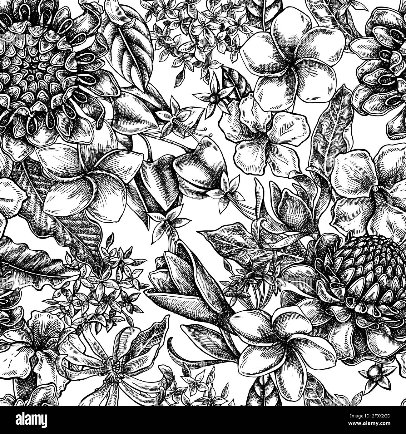 Motif sans couture avec plumeria noir et blanc, allamanda, clerodendrum, champak, etlingera, ixora Illustration de Vecteur