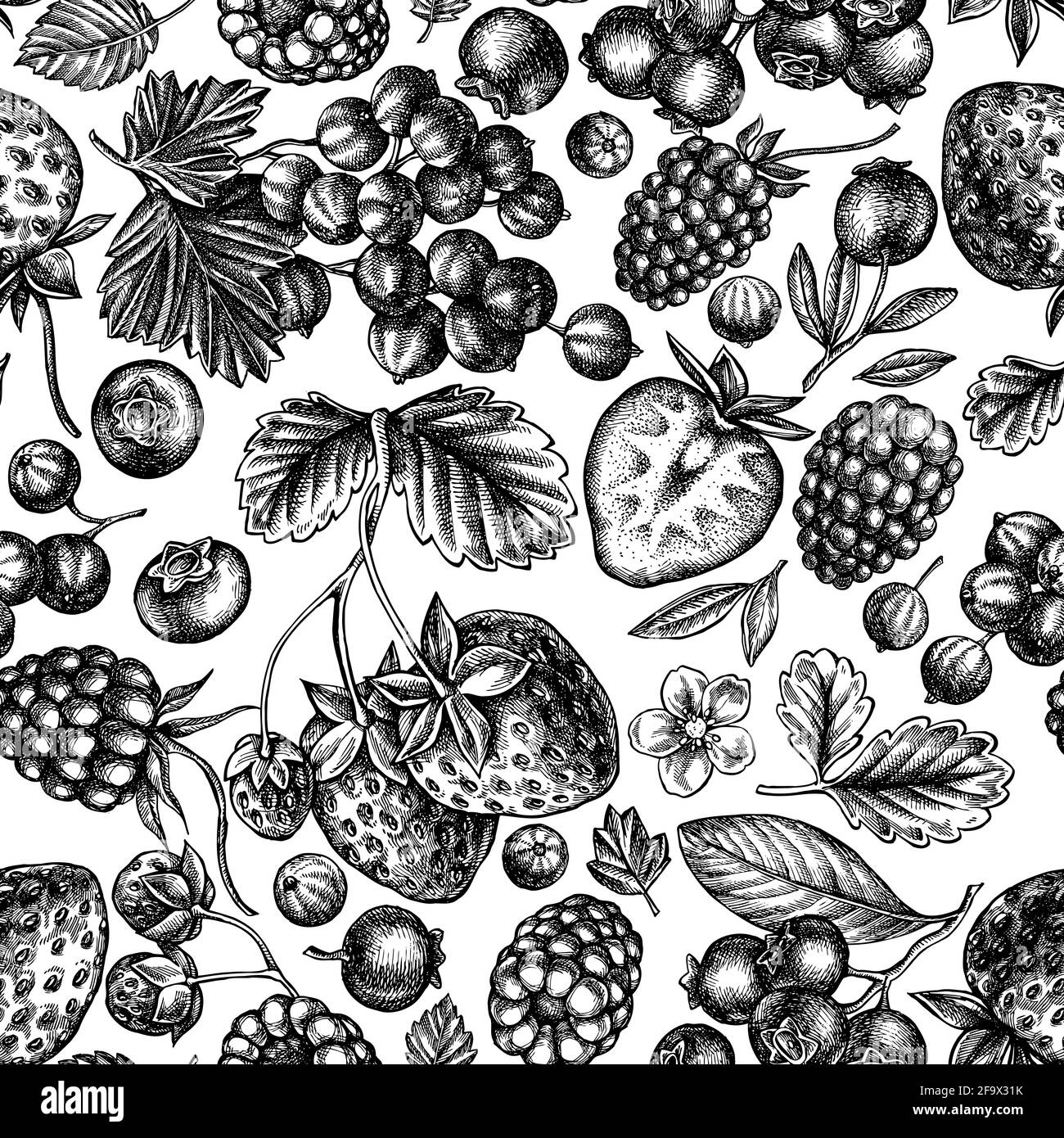 Motif sans couture avec fraise noire et blanche, myrtille, cassis, framboise, mûre Illustration de Vecteur