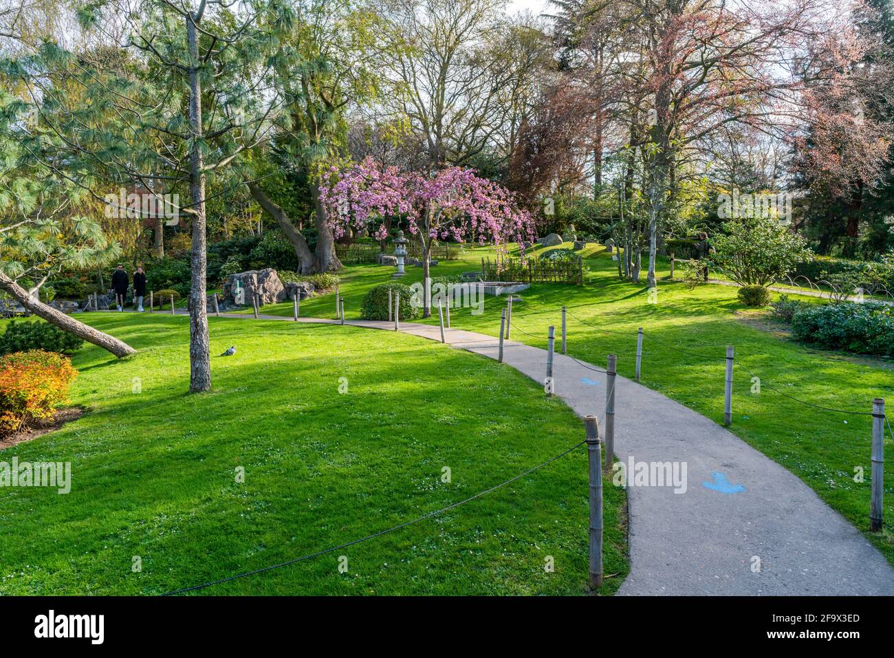 LONDRES, Royaume-Uni - 11 AVRIL 2021 : le jardin de Kyoto dans le parc  Holland, avec ses plantes colorées, ses arbustes et ses eaux, est populaire  auprès des Londoniens et des touristes