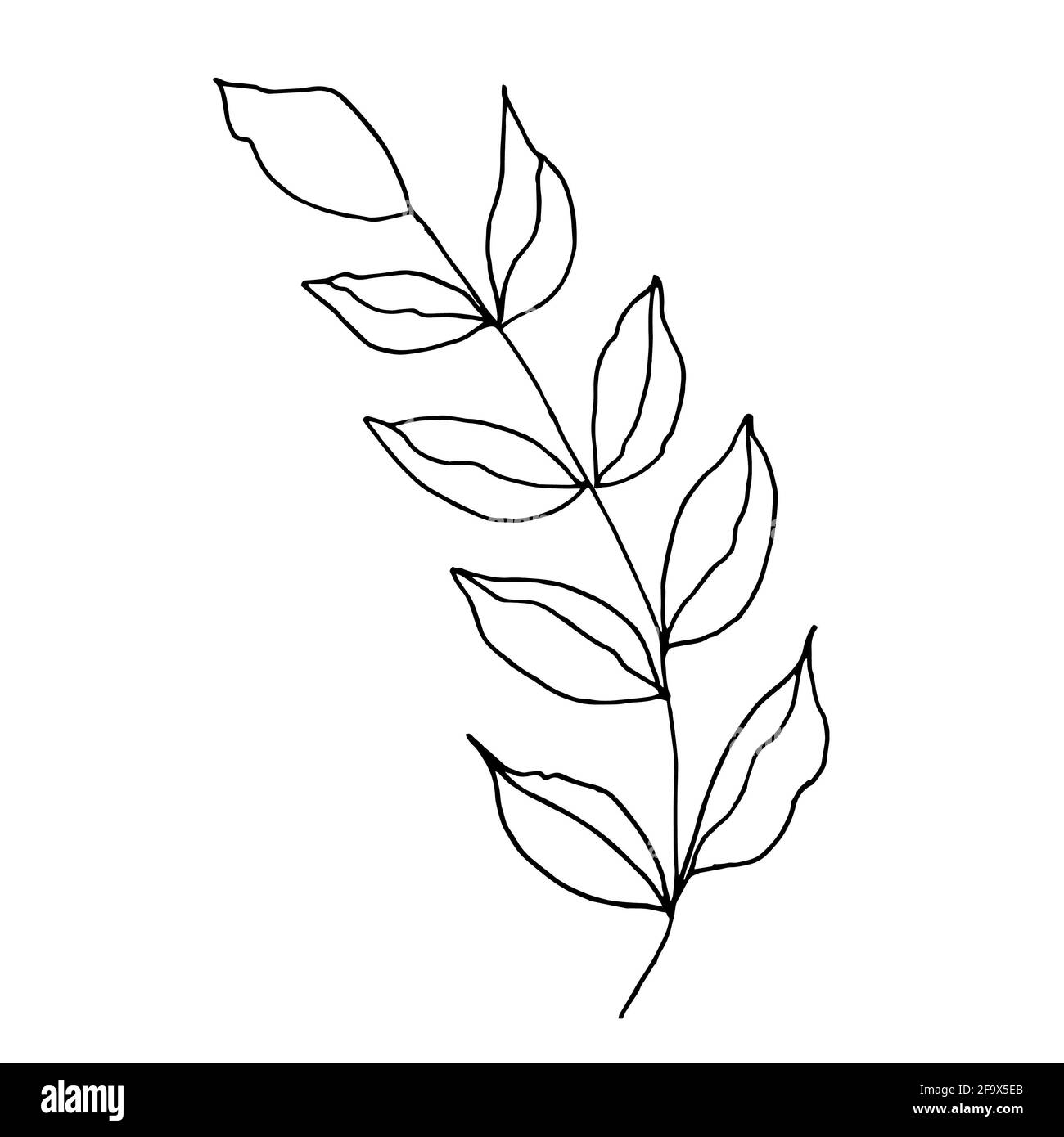 branche vectorielle avec feuilles noires et blanches. Illustration botanique minimaliste, dessin à la main Banque D'Images