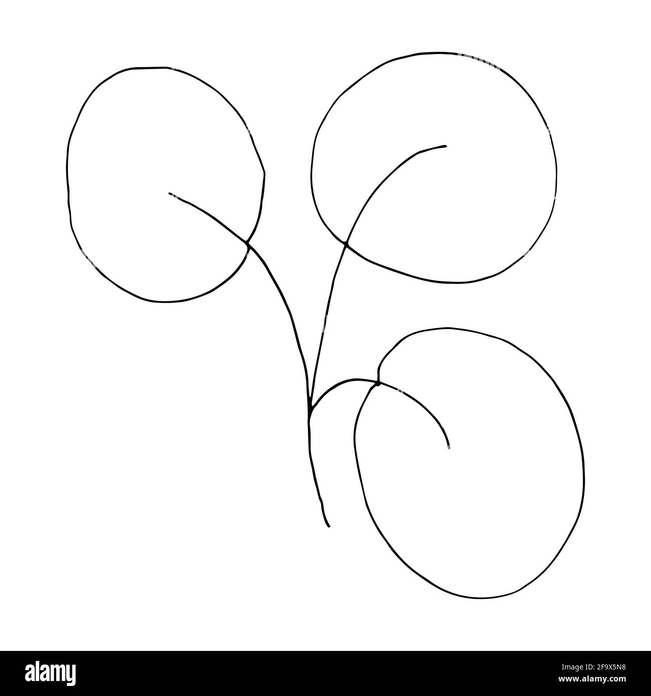 branche vectorielle avec feuilles noires et blanches. Illustration botanique minimaliste, dessin à la main Banque D'Images