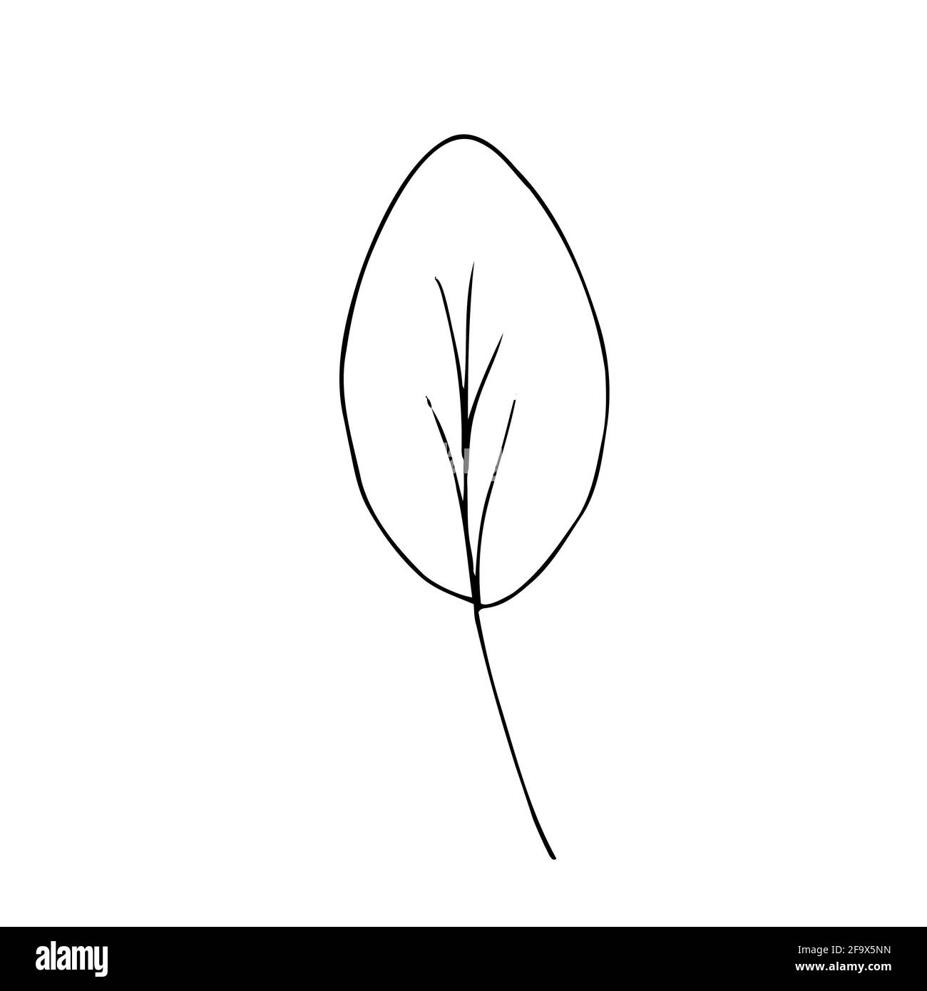 branche vectorielle avec feuilles noires et blanches. Illustration botanique minimaliste, dessin à la main Banque D'Images