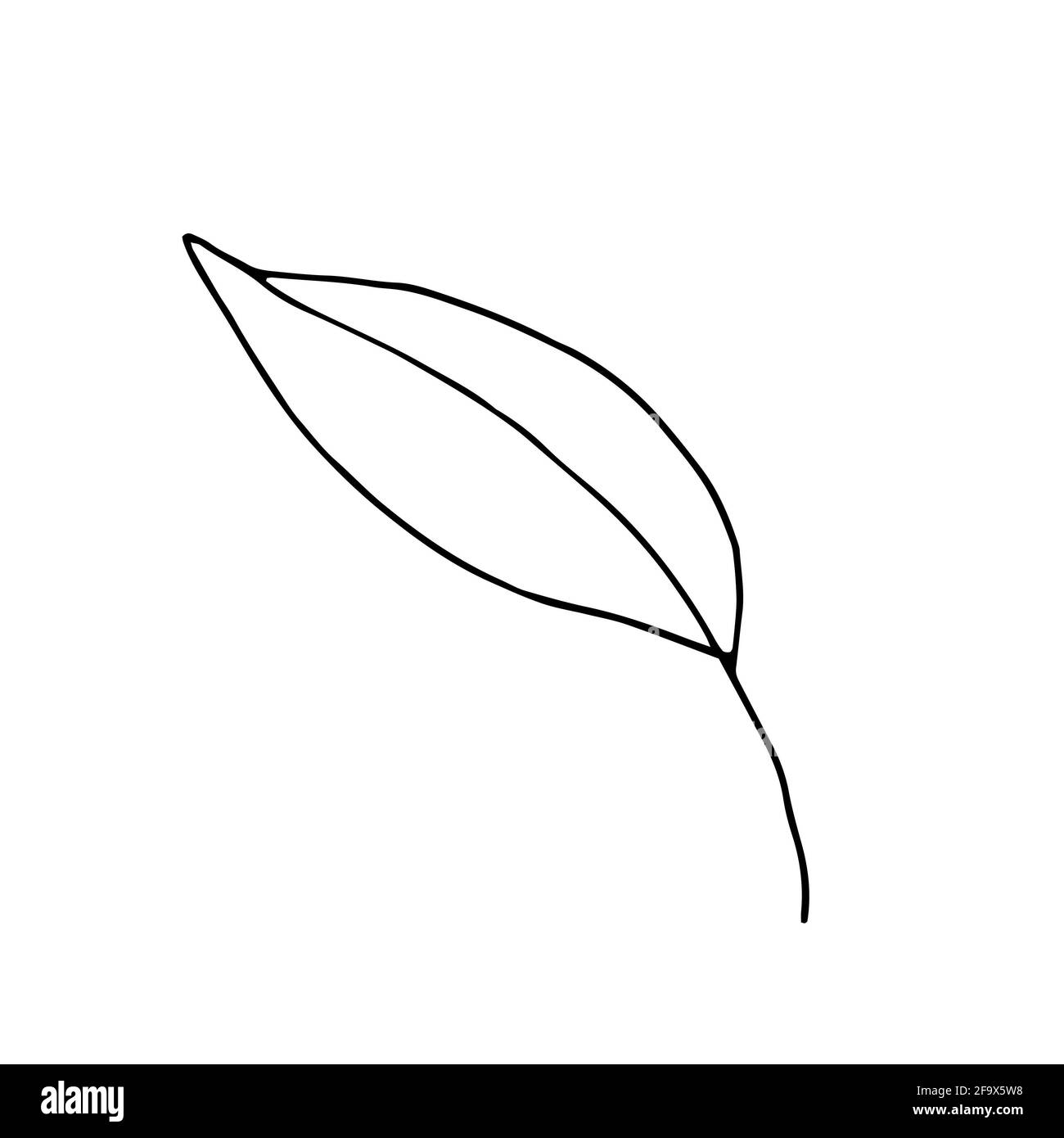 branche vectorielle avec feuilles noires et blanches. Illustration botanique minimaliste, dessin à la main Banque D'Images