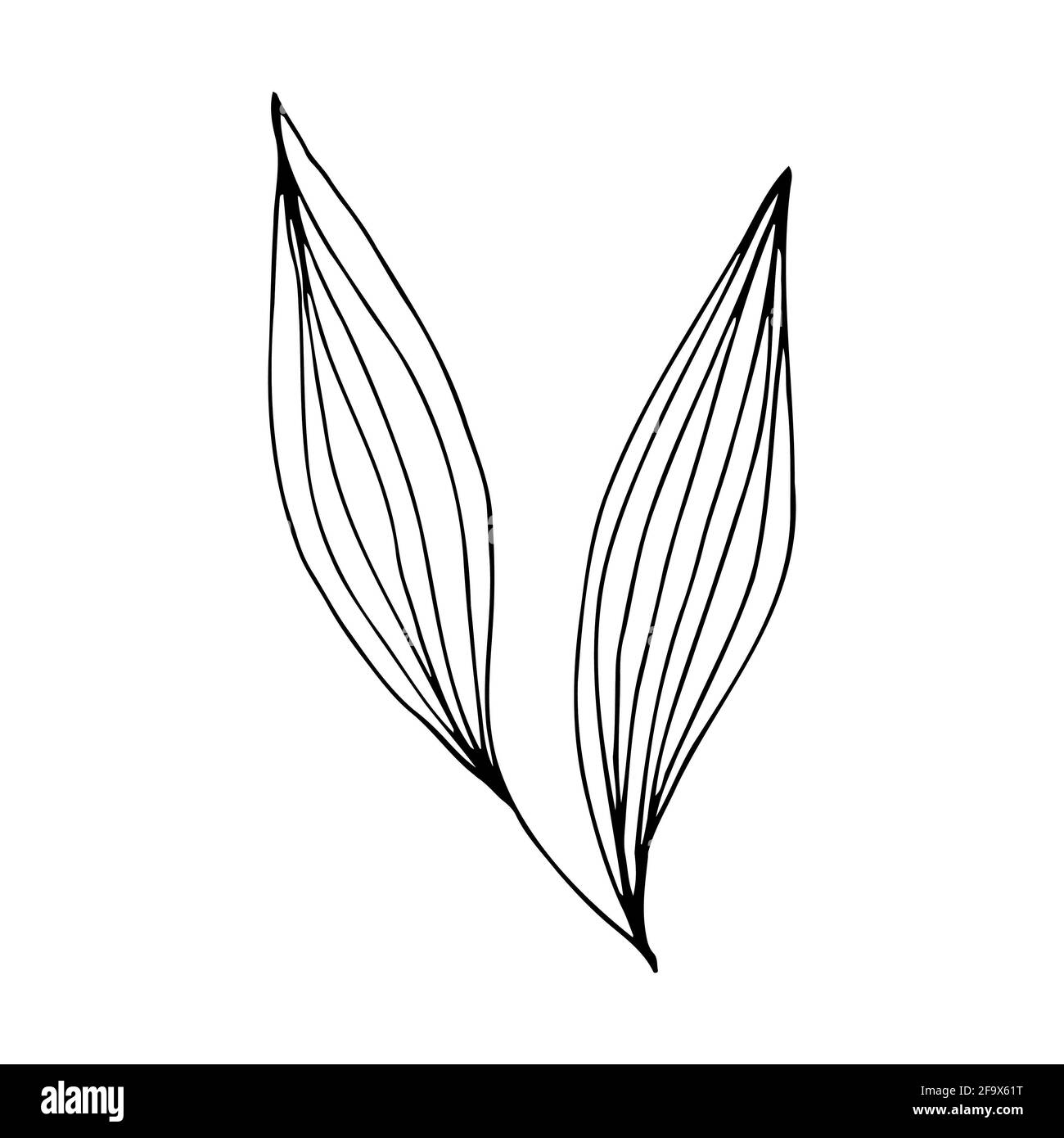 branche vectorielle avec feuilles noires et blanches. Illustration botanique minimaliste, dessin à la main Banque D'Images