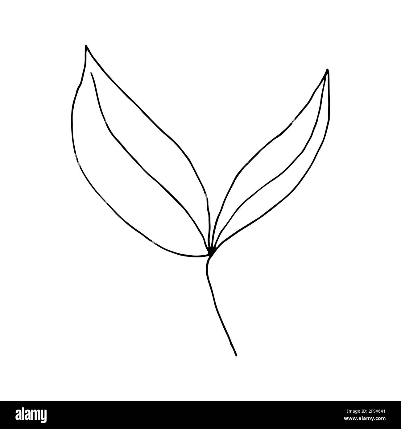 branche vectorielle avec feuilles noires et blanches. Illustration botanique minimaliste, dessin à la main Banque D'Images
