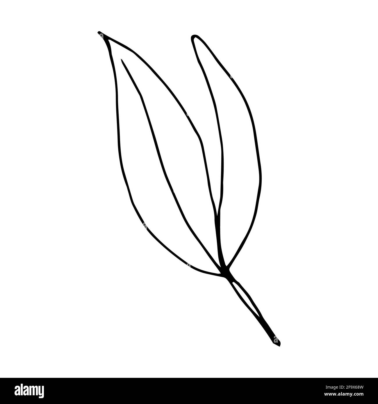branche vectorielle avec feuilles noires et blanches. Illustration botanique minimaliste, dessin à la main Banque D'Images