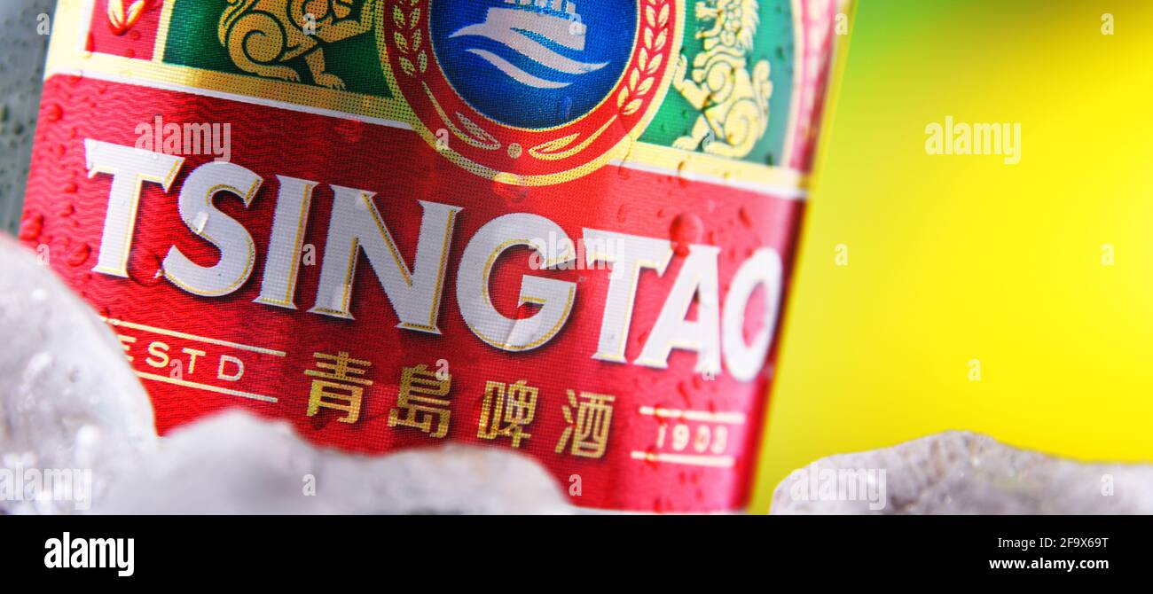 POZNAN, POL - 18 FÉVR. 2021 : bouteille de bière Tsingtao, produit de la brasserie Tsingtao, la deuxième plus grande brasserie chinoise située à Qingdao dans Shandong provin Banque D'Images