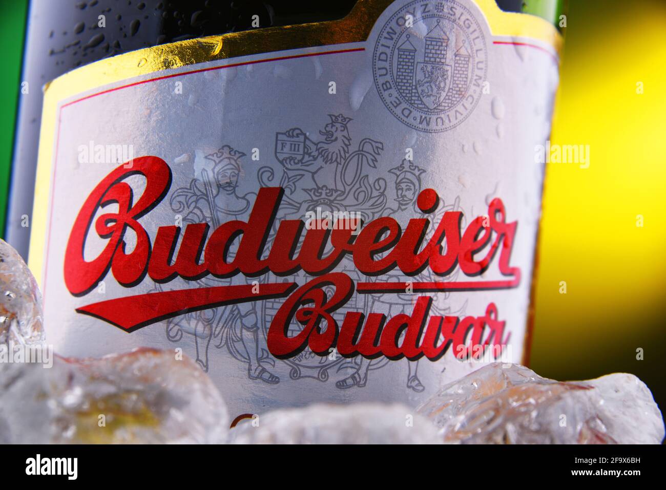 POZNAN, POL - 18 FÉVRIER 2021 : bouteille de Budweiser Budvar, l'une des bières les plus vendues de la République tchèque exportées dans plus de 60 pays, produ Banque D'Images