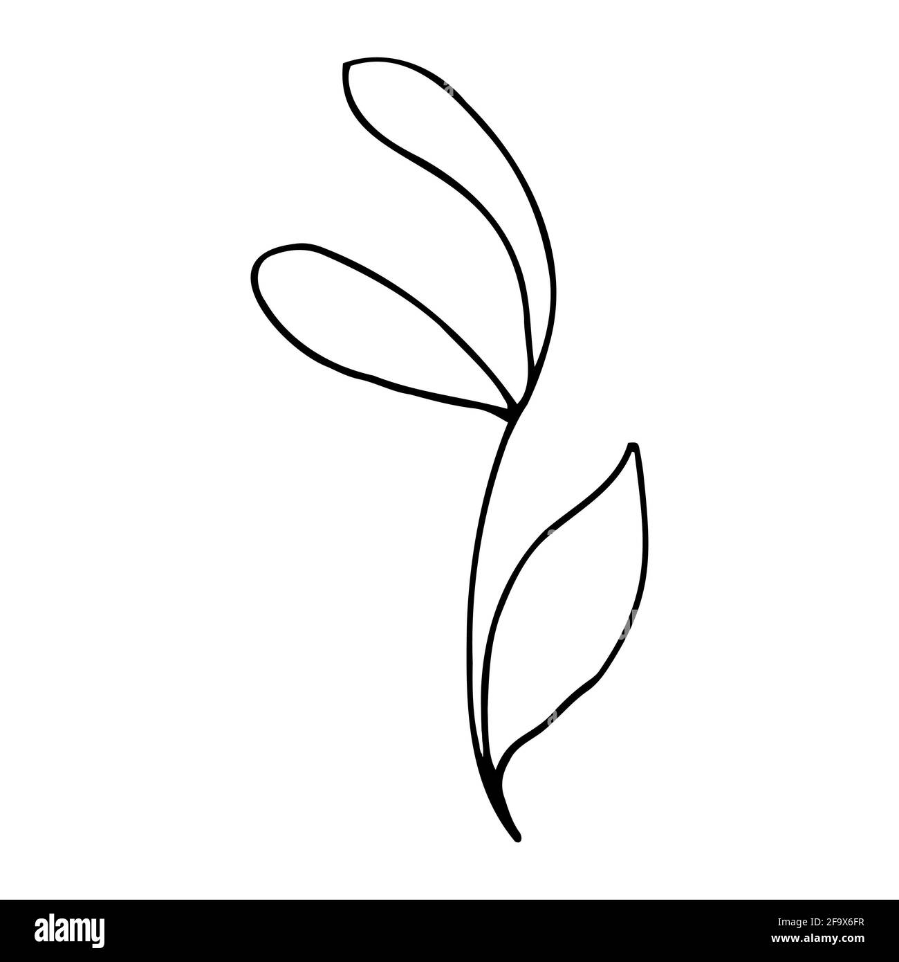 branche vectorielle avec feuilles noires et blanches. Illustration botanique minimaliste, dessin à la main Banque D'Images