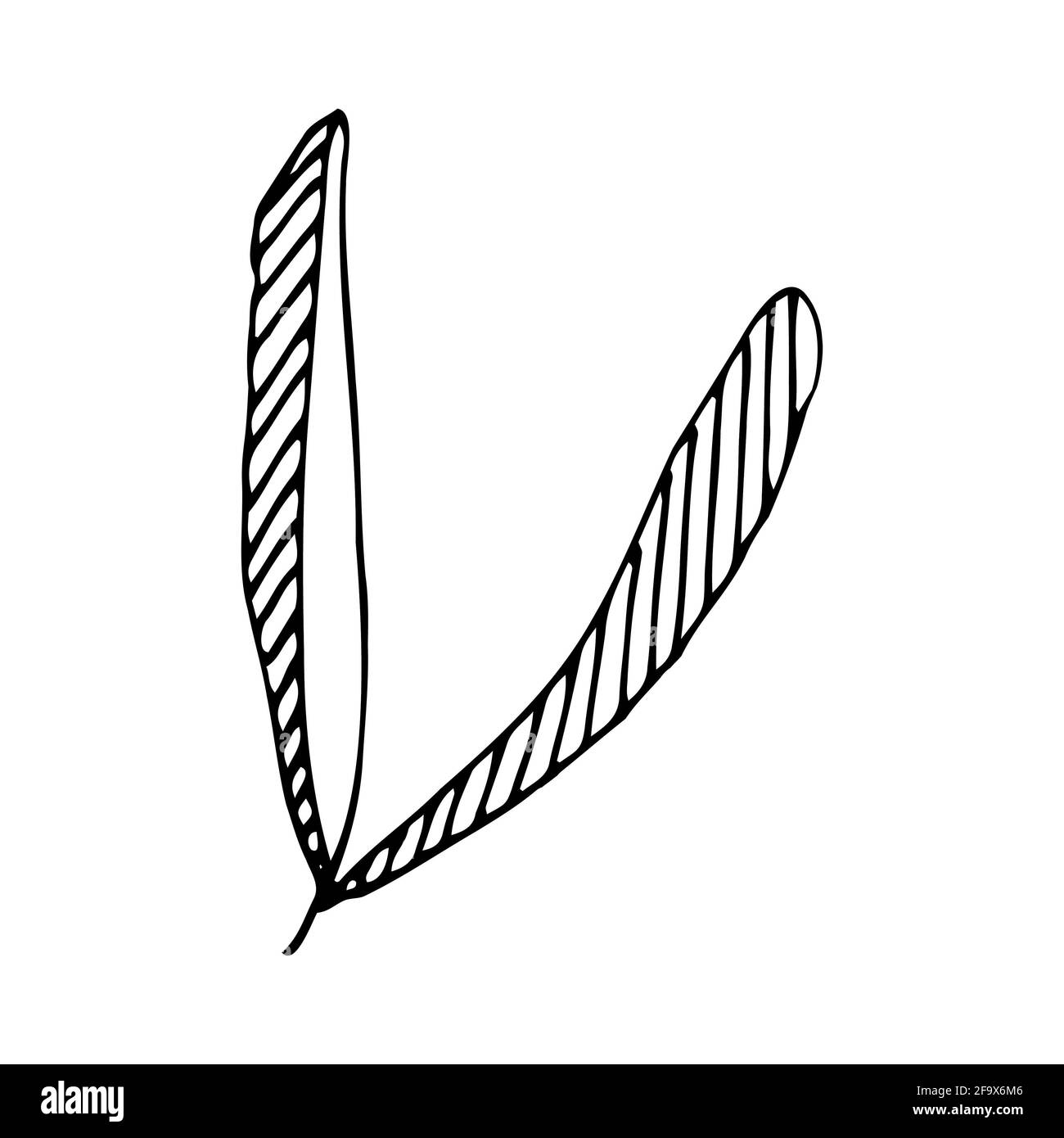 branche vectorielle avec feuilles noires et blanches. Illustration botanique minimaliste, dessin à la main Banque D'Images