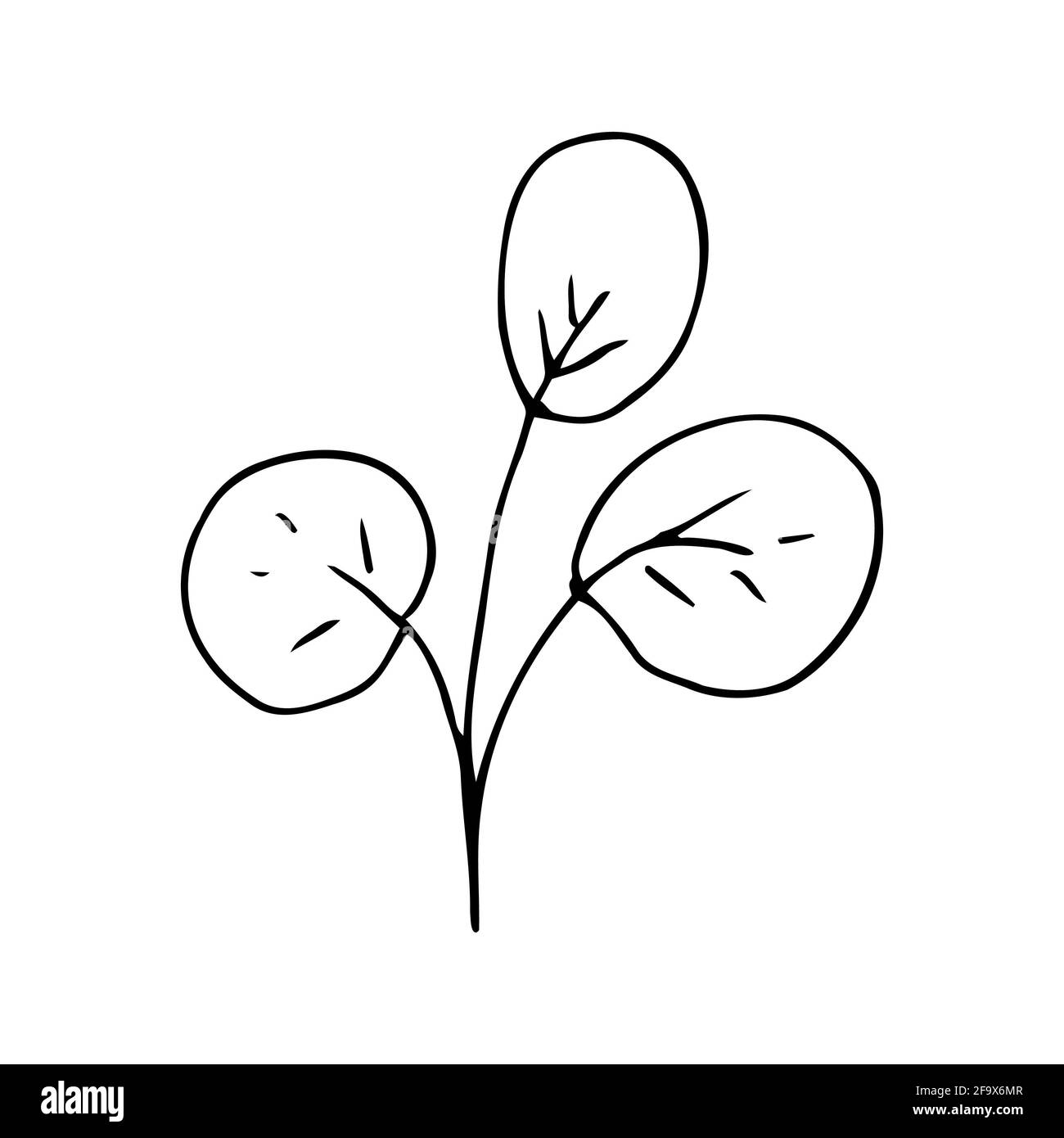branche vectorielle avec feuilles noires et blanches. Illustration botanique minimaliste, dessin à la main Banque D'Images