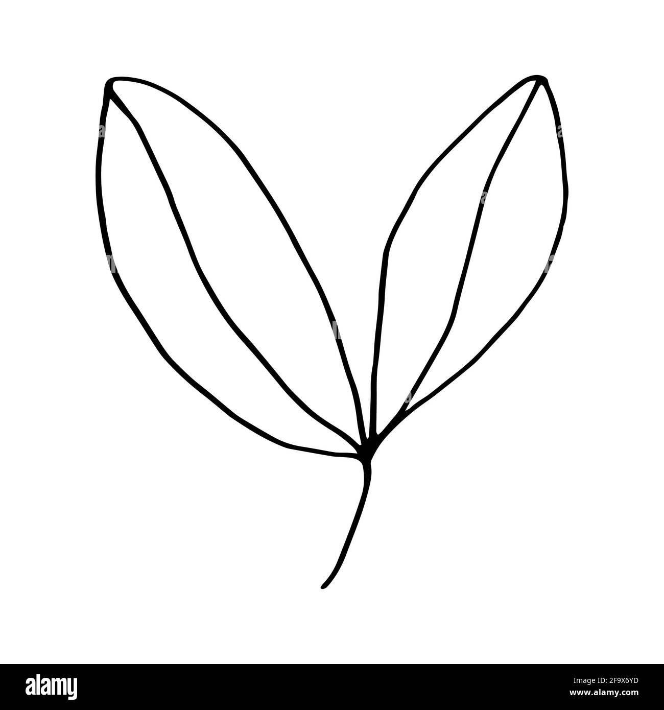 branche vectorielle avec feuilles noires et blanches. Illustration botanique minimaliste, dessin à la main Banque D'Images