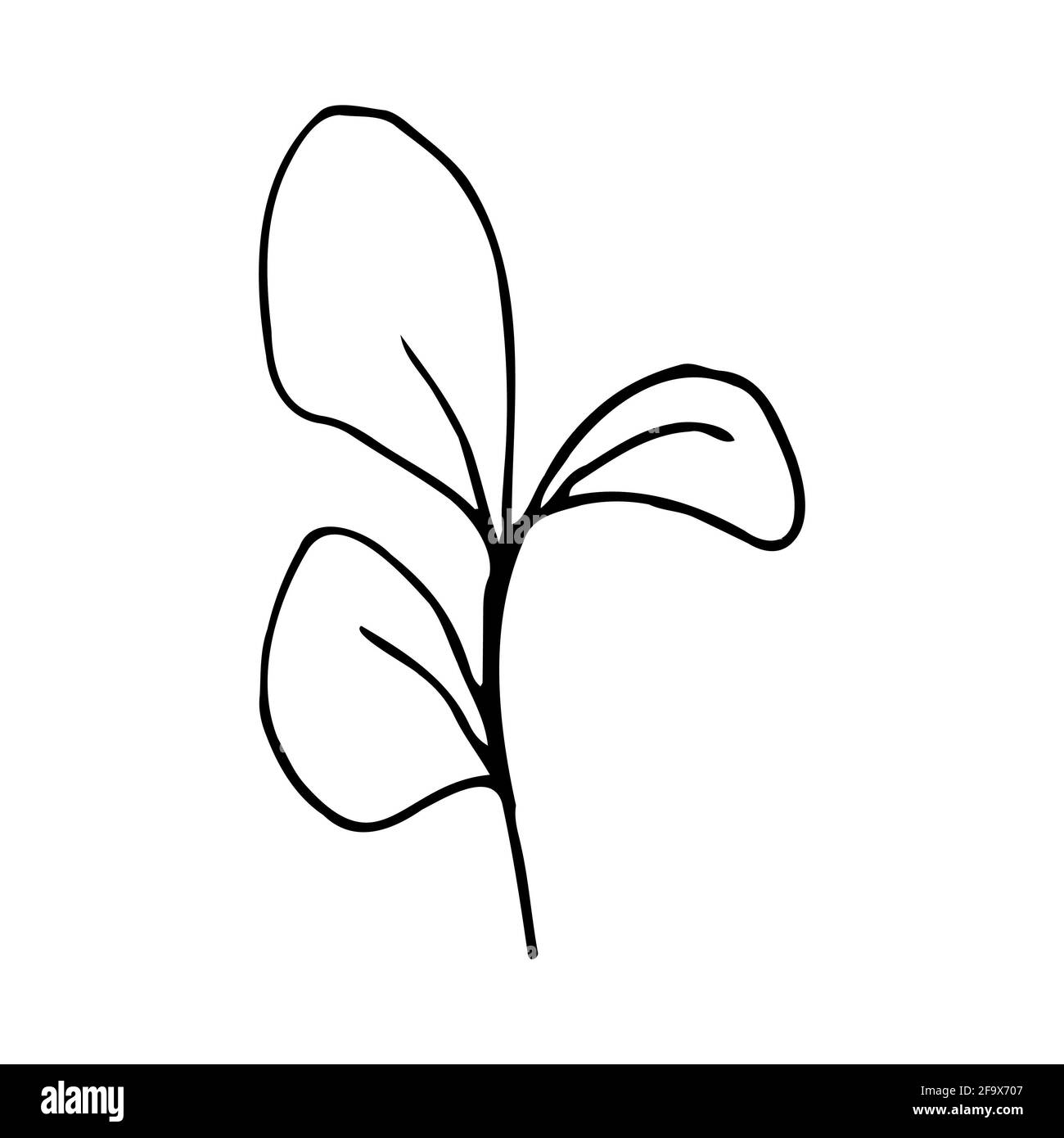 branche vectorielle avec feuilles noires et blanches. Illustration botanique minimaliste, dessin à la main Banque D'Images
