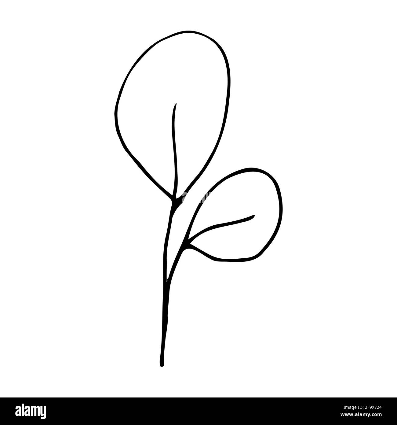 branche vectorielle avec feuilles noires et blanches. Illustration botanique minimaliste, dessin à la main Banque D'Images