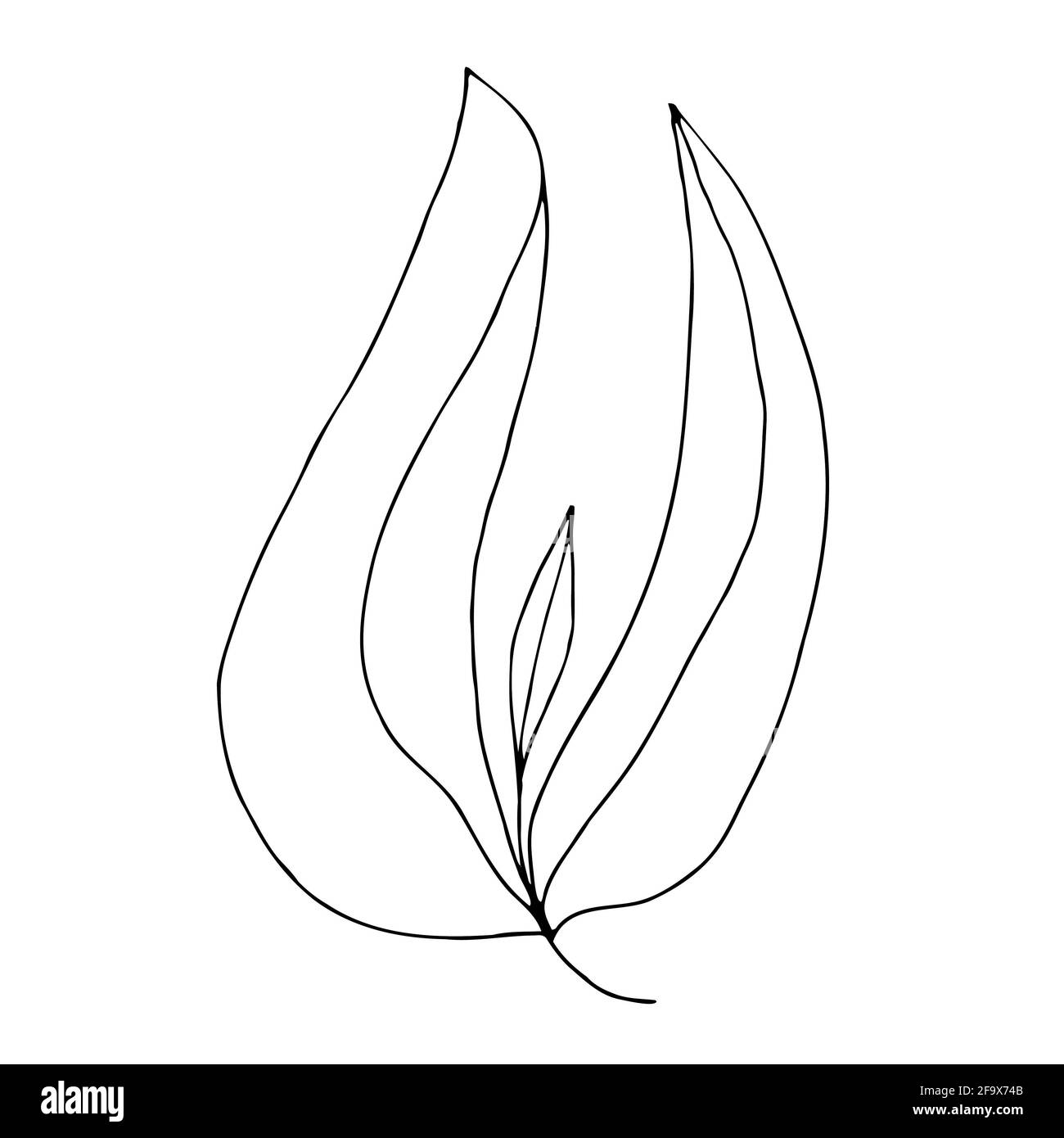 branche vectorielle avec feuilles noires et blanches. Illustration botanique minimaliste, dessin à la main Banque D'Images