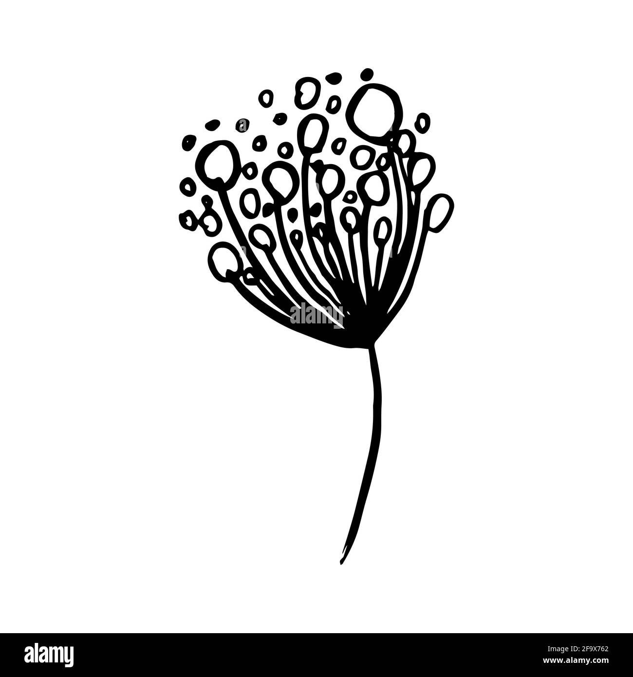 branche vectorielle avec feuilles noires et blanches. Illustration botanique minimaliste, dessin à la main Banque D'Images