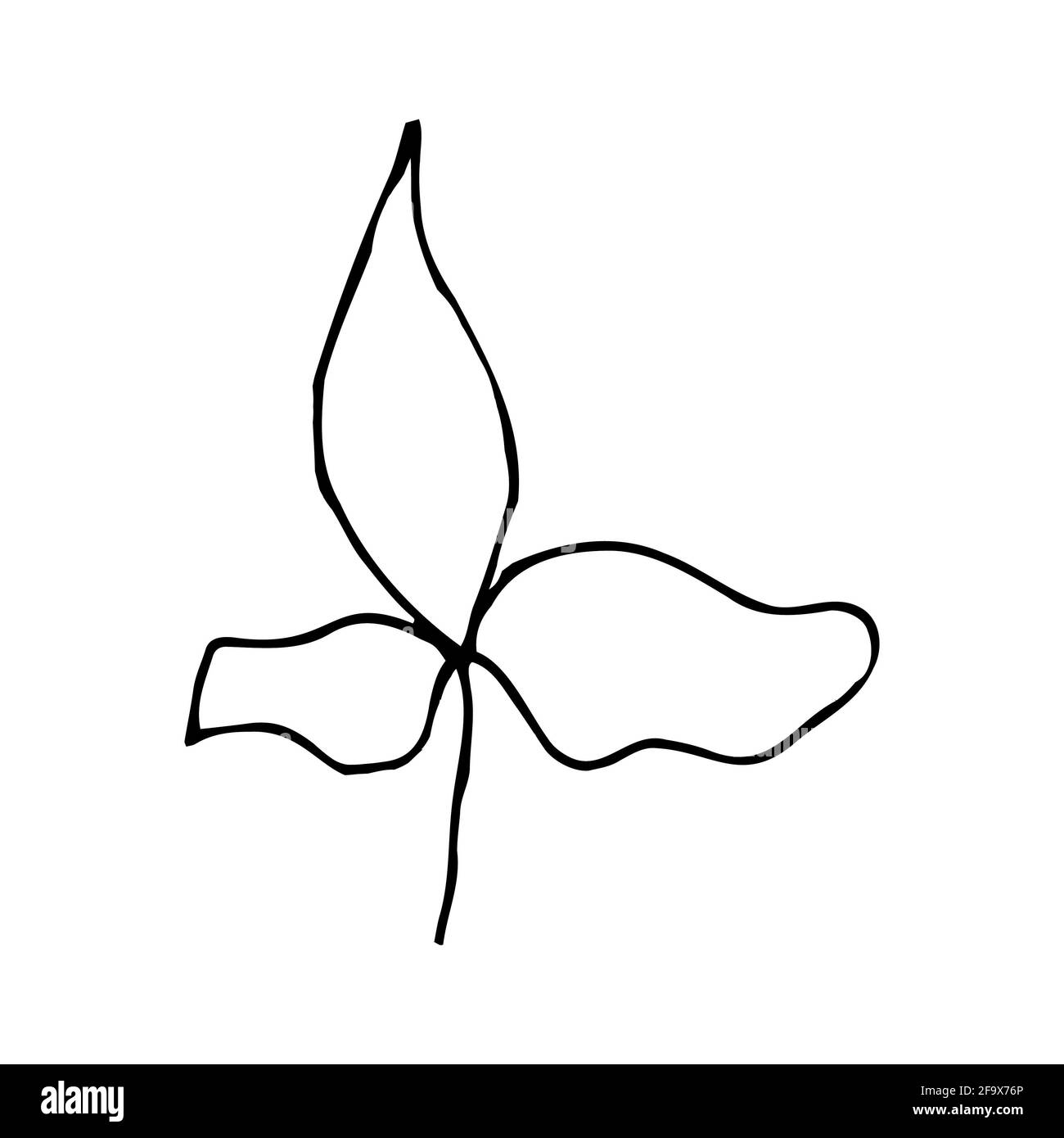 branche vectorielle avec feuilles noires et blanches. Illustration botanique minimaliste, dessin à la main Banque D'Images