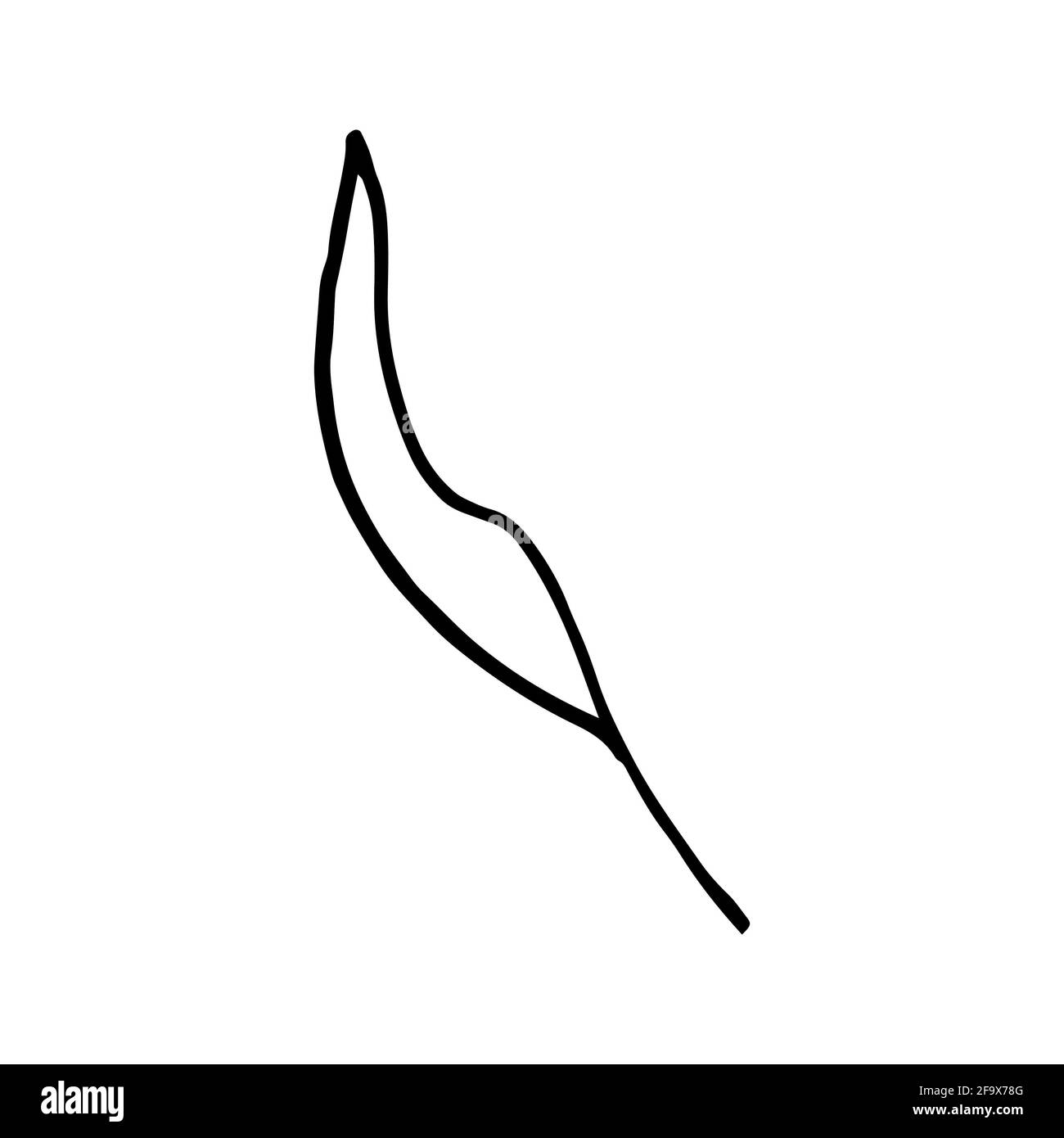 branche vectorielle avec feuilles noires et blanches. Illustration botanique minimaliste, dessin à la main Banque D'Images