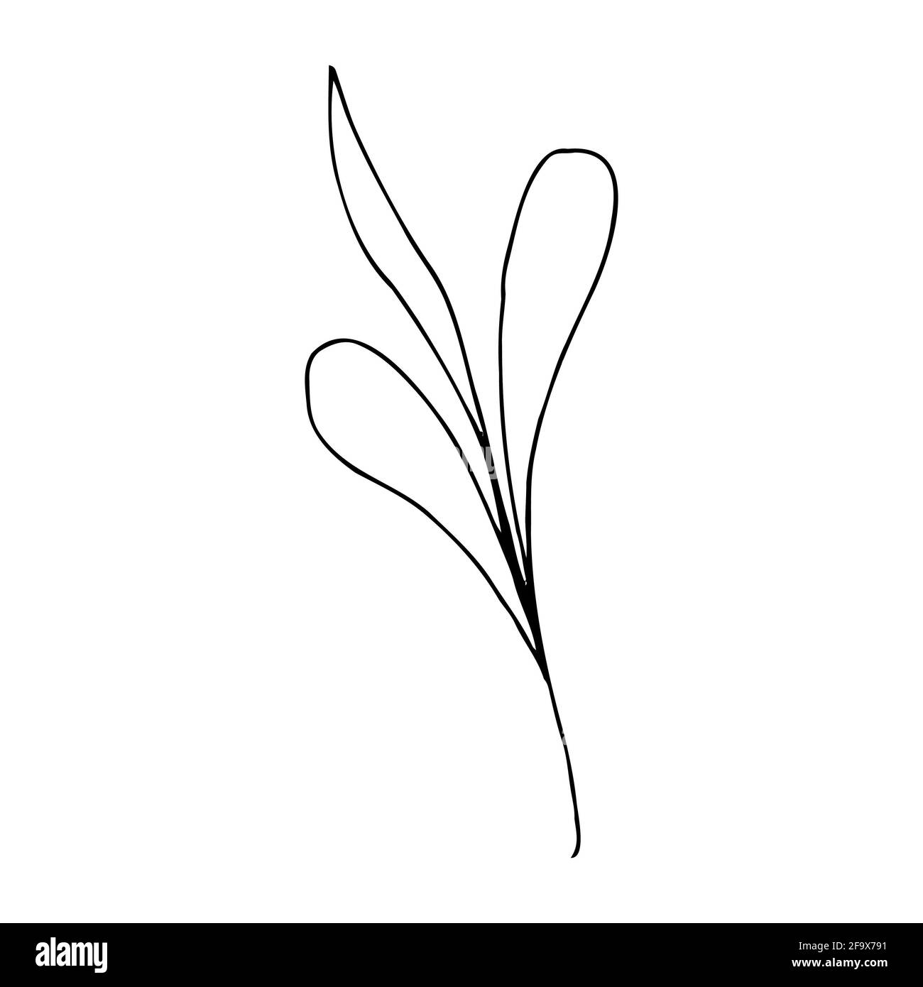 branche vectorielle avec feuilles noires et blanches. Illustration botanique minimaliste, dessin à la main Banque D'Images