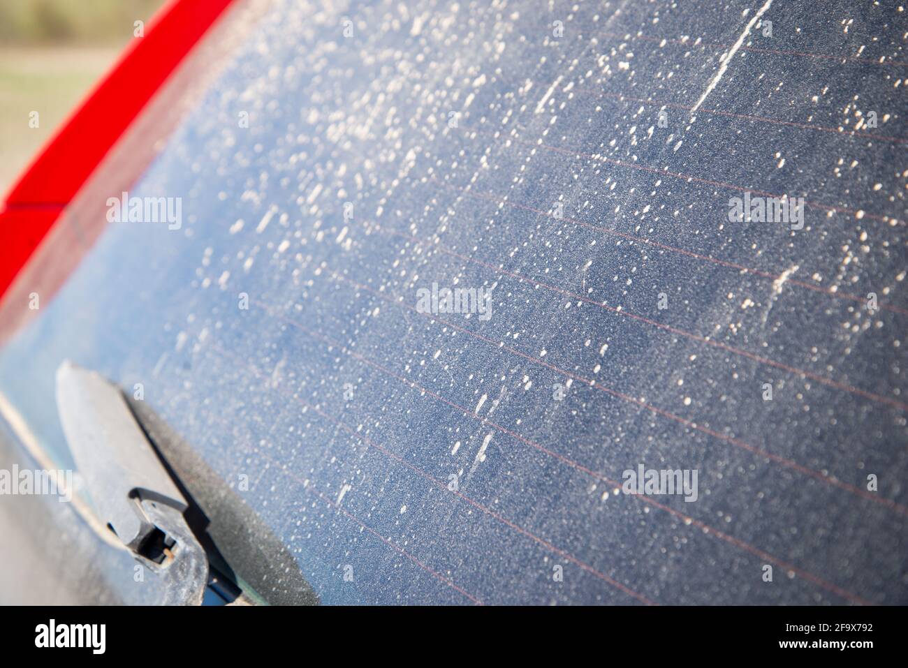pare-brise arrière avec essuie-glaces voiture sale dans une couche de poussière et de saleté sèches, gros plan sur le thème de la voiture. photographie de voiture Banque D'Images