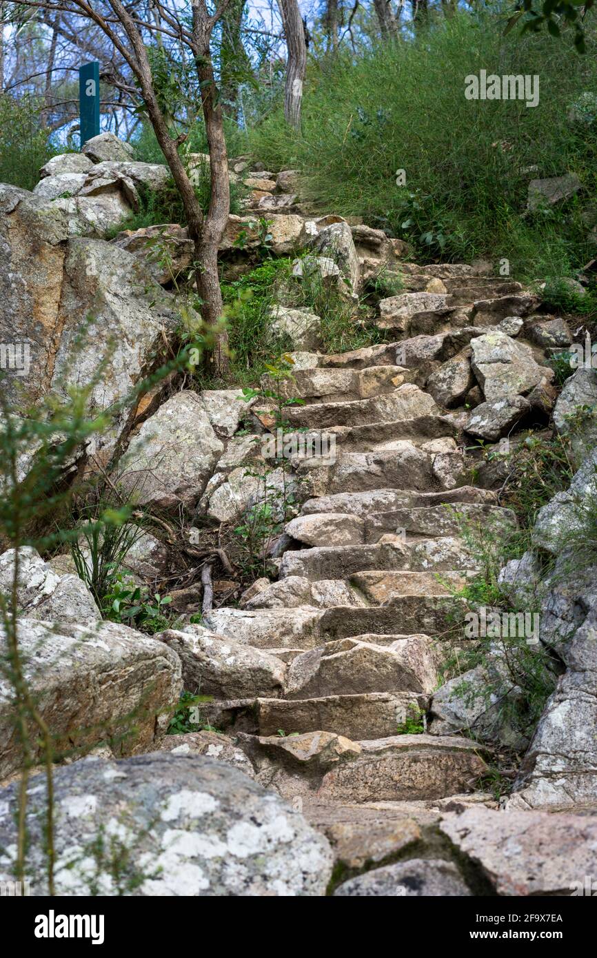 Escalier en pierre sur la piste de randonnée du parc national, parc national Crows Nest, Queensland Australie Banque D'Images