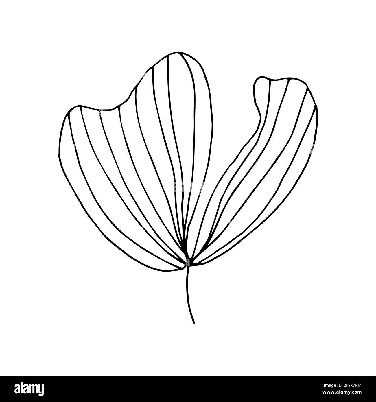 branche vectorielle avec feuilles noires et blanches. Illustration botanique minimaliste, dessin à la main Banque D'Images