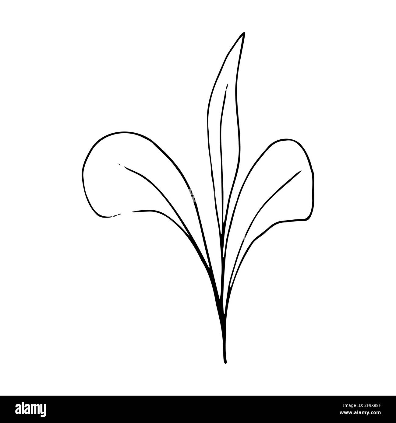 branche vectorielle avec feuilles noires et blanches. Illustration botanique minimaliste, dessin à la main Banque D'Images