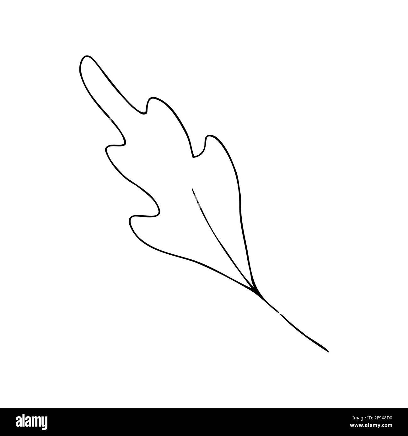 branche vectorielle avec feuilles noires et blanches. Illustration botanique minimaliste, dessin à la main Banque D'Images