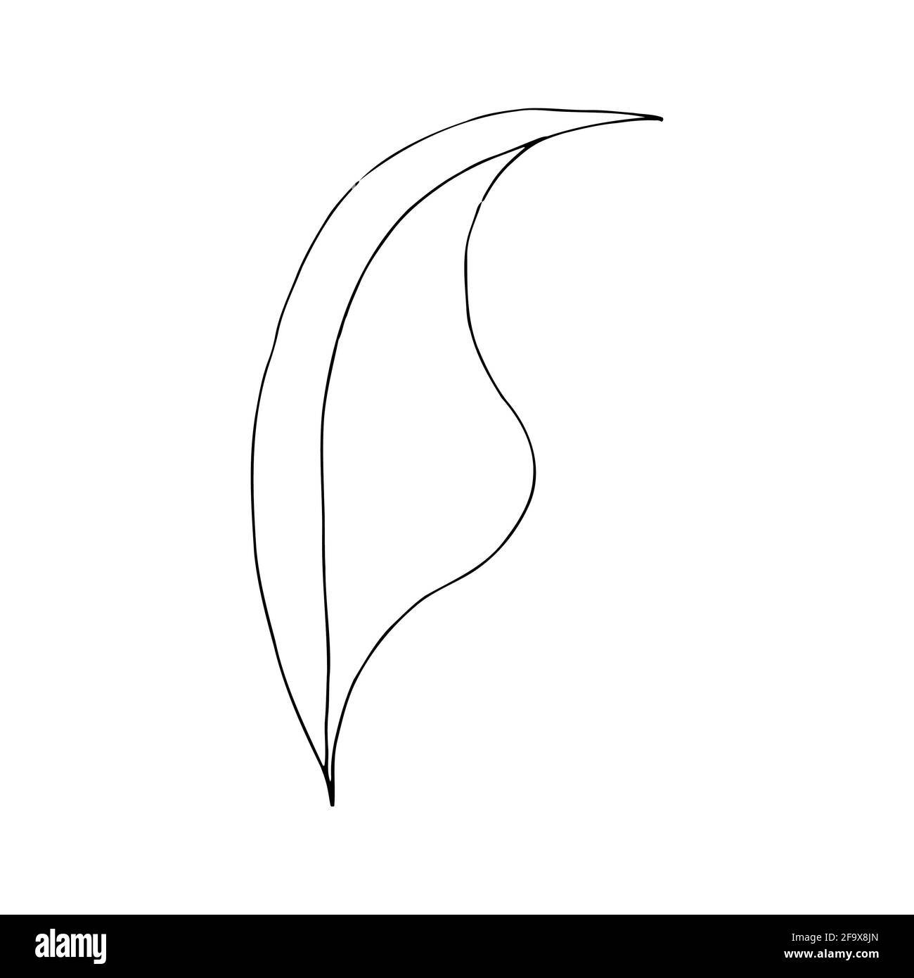 branche vectorielle avec feuilles noires et blanches. Illustration botanique minimaliste, dessin à la main Banque D'Images