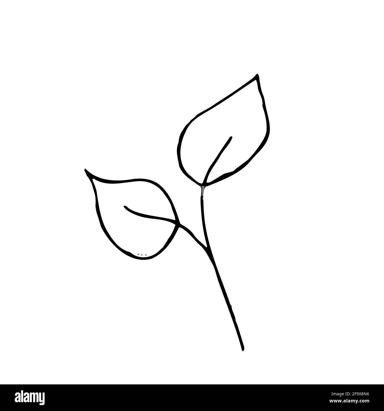branche vectorielle avec feuilles noires et blanches. Illustration botanique minimaliste, dessin à la main Banque D'Images