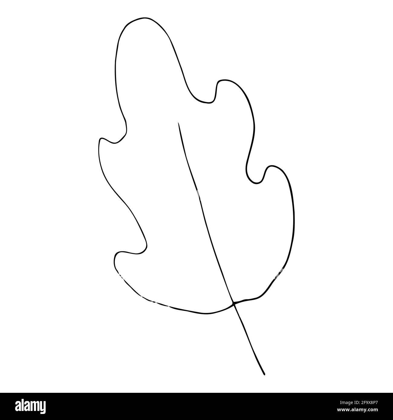 branche vectorielle avec feuilles noires et blanches. Illustration botanique minimaliste, dessin à la main Banque D'Images