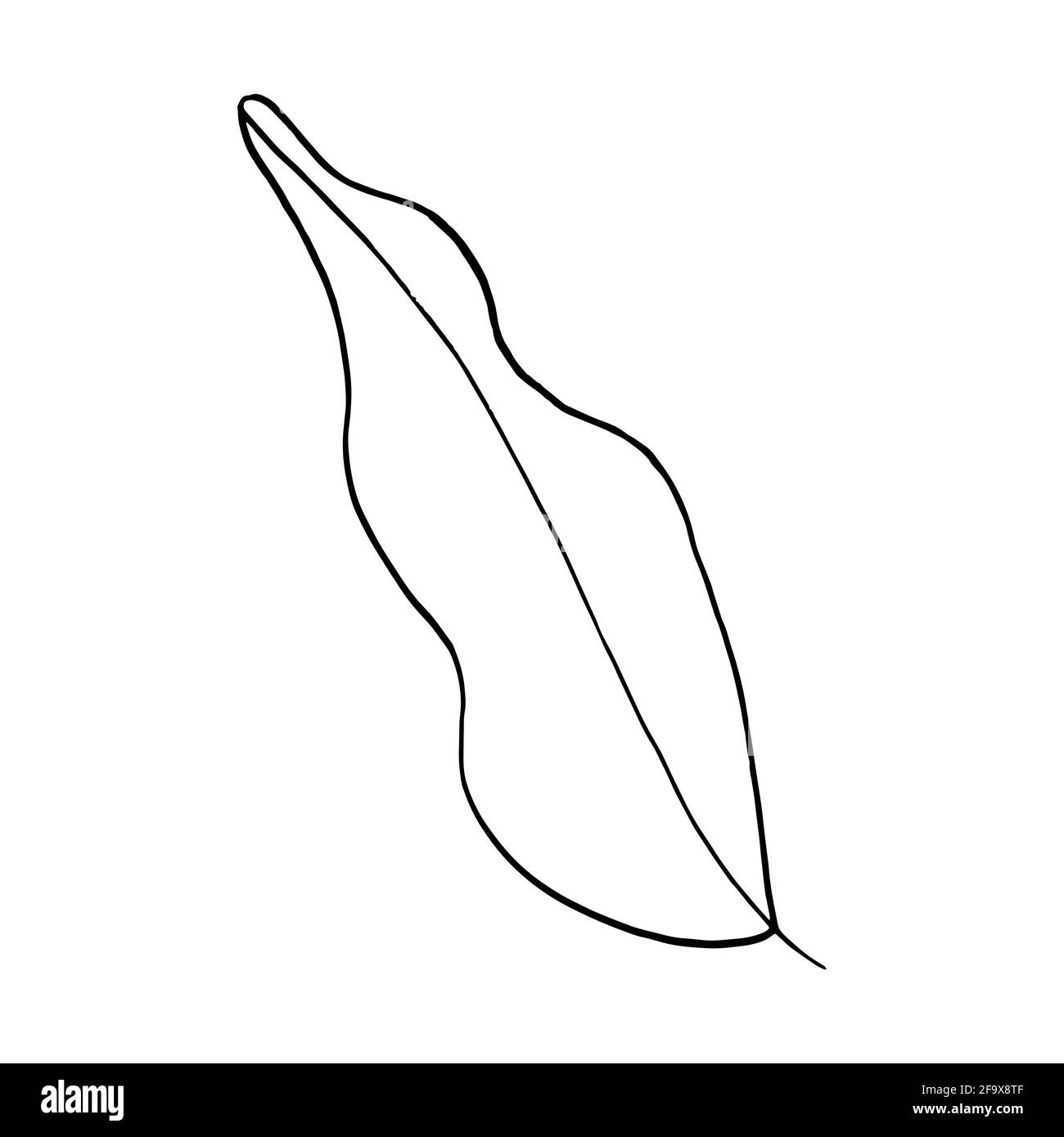 branche vectorielle avec feuilles noires et blanches. Illustration botanique minimaliste, dessin à la main Banque D'Images