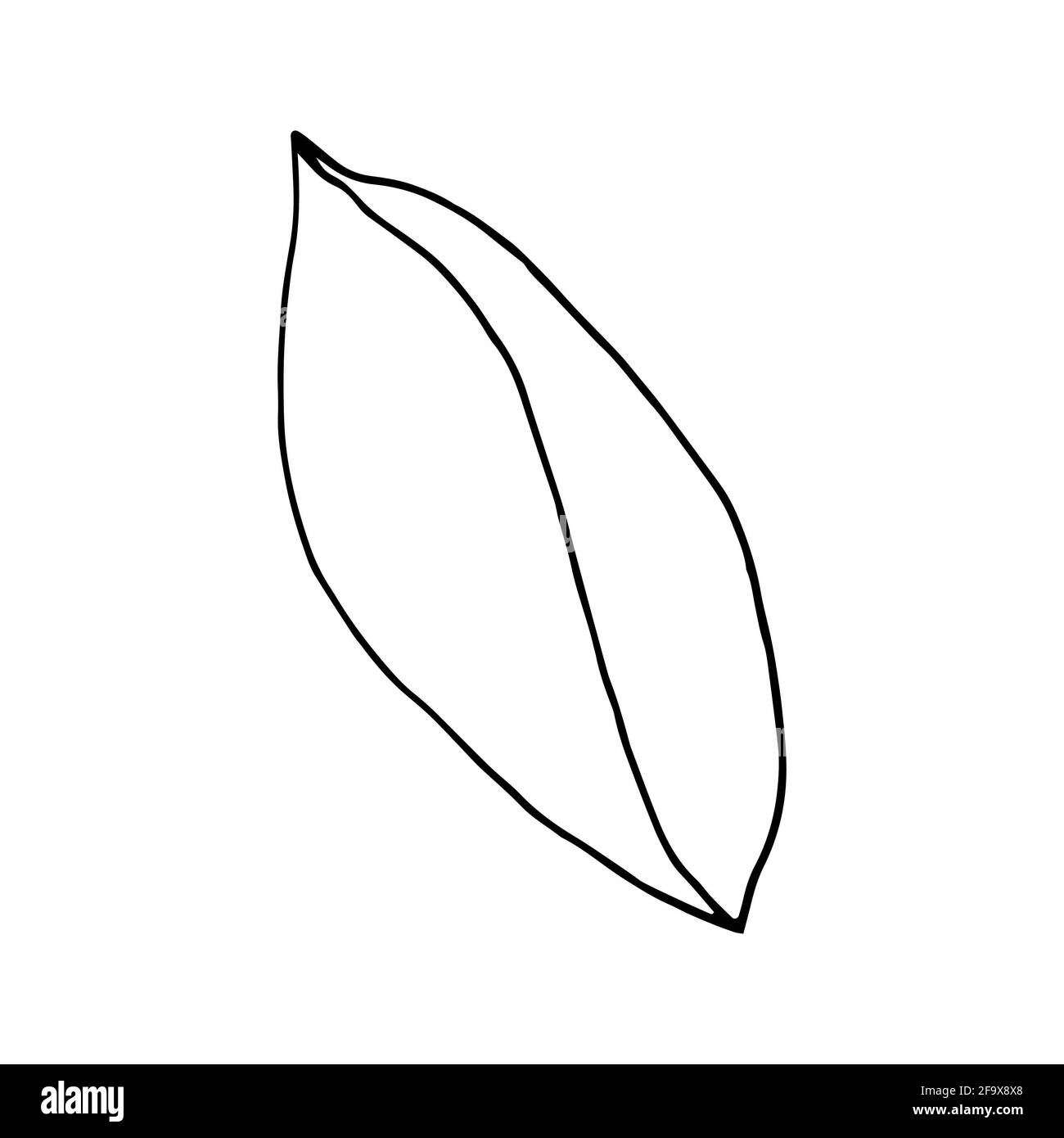 branche vectorielle avec feuilles noires et blanches. Illustration botanique minimaliste, dessin à la main Banque D'Images