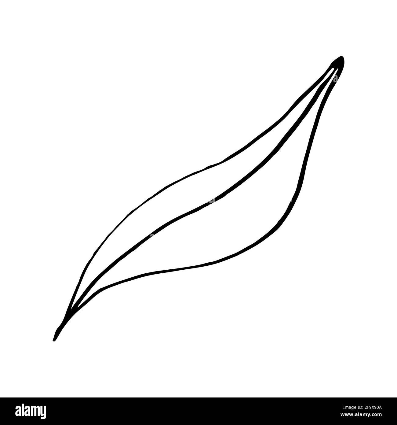 branche vectorielle avec feuilles noires et blanches. Illustration botanique minimaliste, dessin à la main Banque D'Images