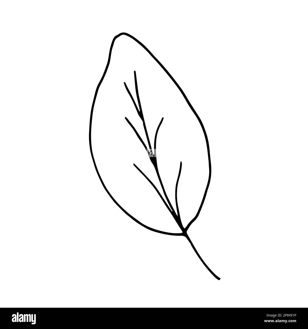 branche vectorielle avec feuilles noires et blanches. Illustration botanique minimaliste, dessin à la main Banque D'Images