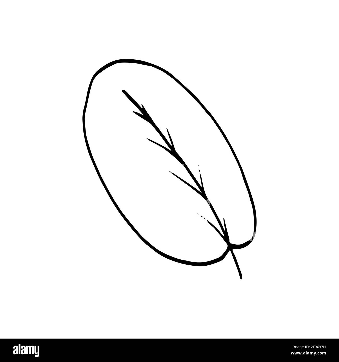 branche vectorielle avec feuilles noires et blanches. Illustration botanique minimaliste, dessin à la main Banque D'Images