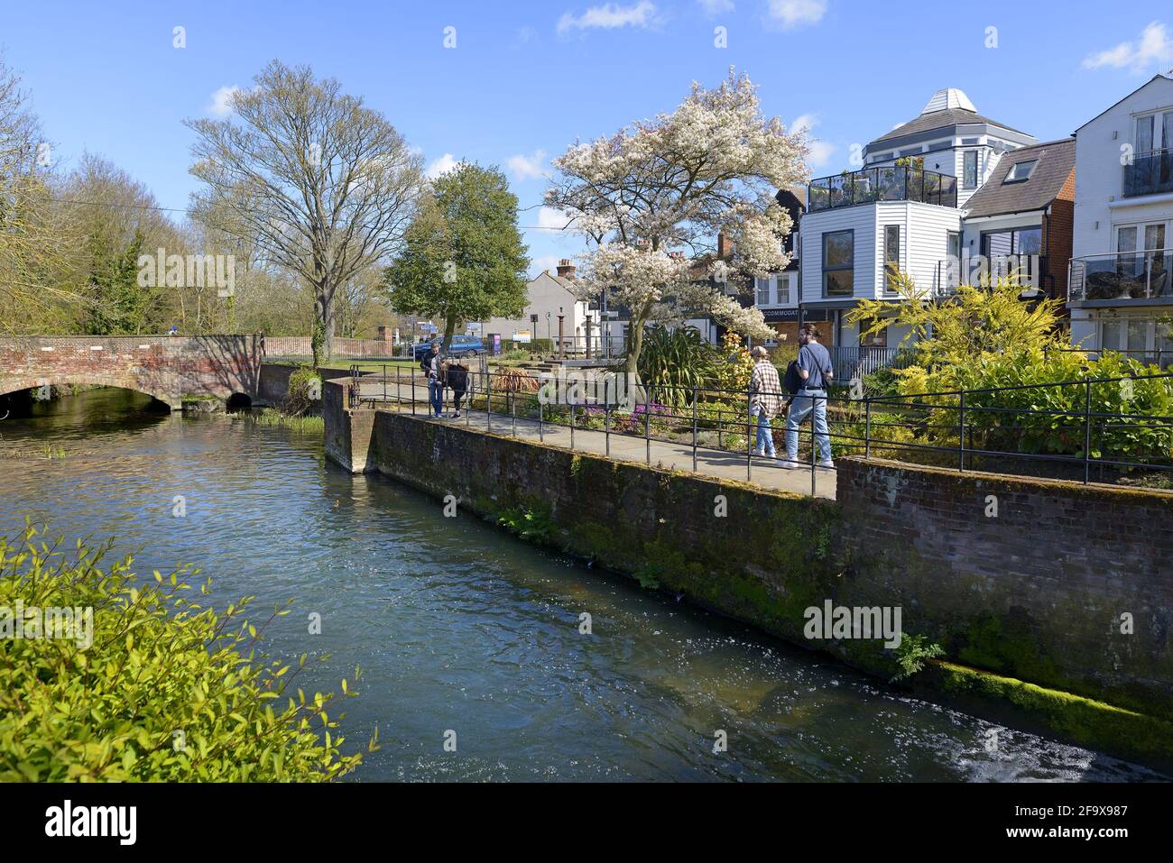 Canterbury, Kent, Royaume-Uni. Rivière Great Stour de Abbots Mill Garden Banque D'Images