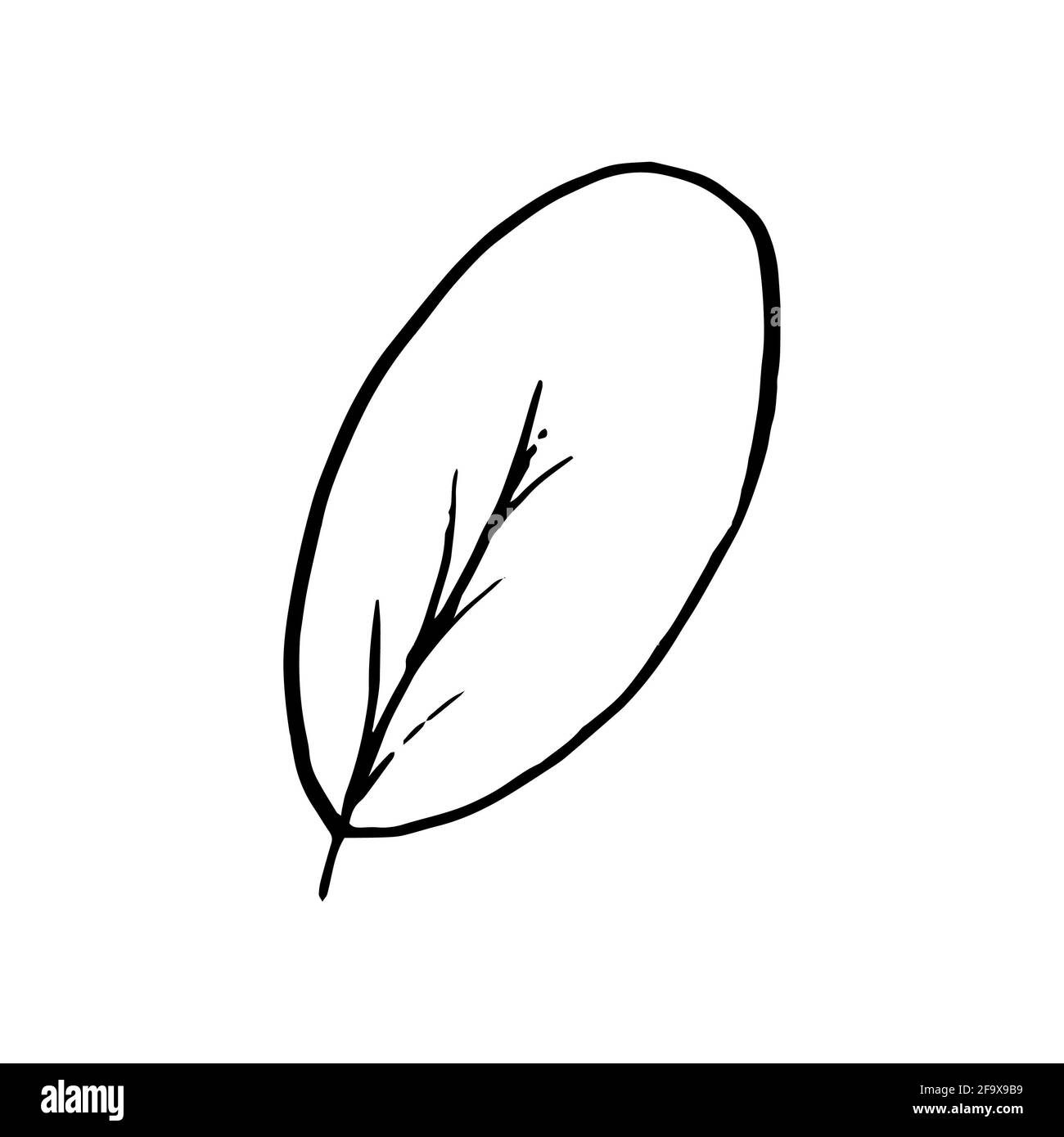 branche vectorielle avec feuilles noires et blanches. Illustration botanique minimaliste, dessin à la main Banque D'Images