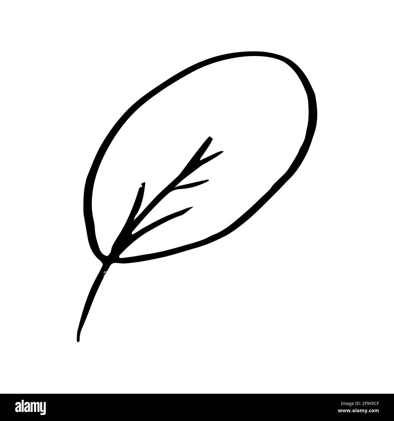 branche vectorielle avec feuilles noires et blanches. Illustration botanique minimaliste, dessin à la main Banque D'Images