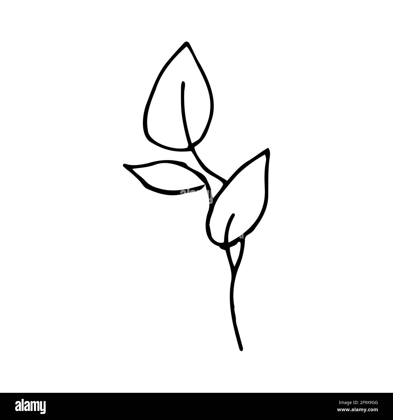 branche vectorielle avec feuilles noires et blanches. Illustration botanique minimaliste, dessin à la main Banque D'Images
