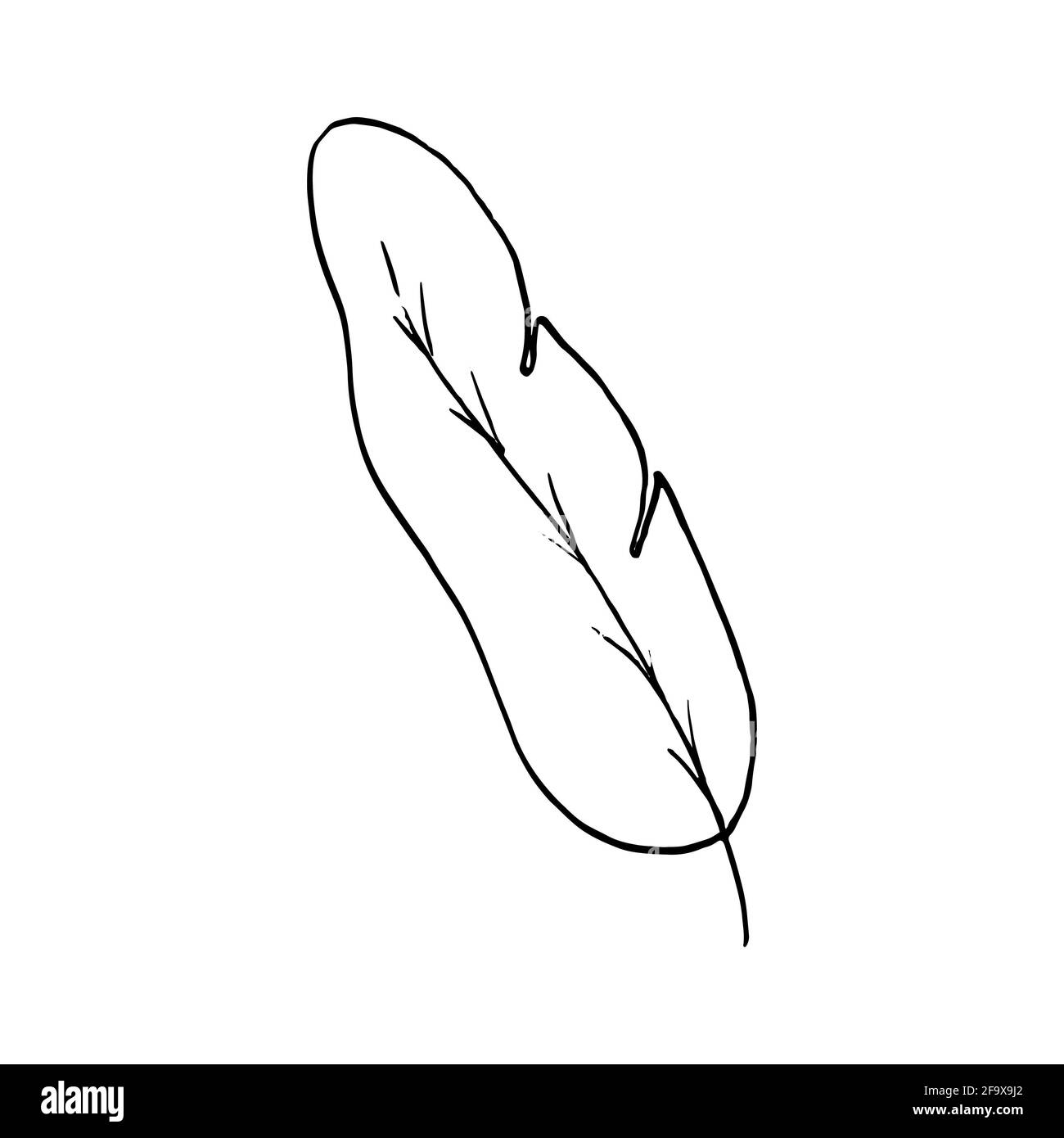 branche vectorielle avec feuilles noires et blanches. Illustration botanique minimaliste, dessin à la main Banque D'Images