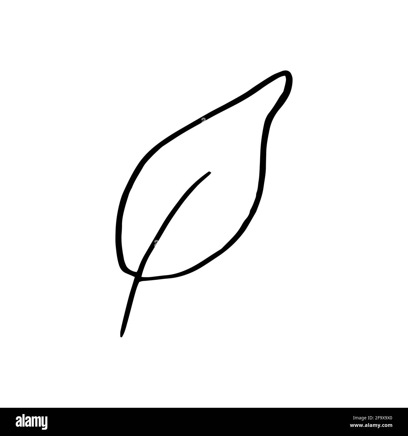 branche vectorielle avec feuilles noires et blanches. Illustration botanique minimaliste, dessin à la main Banque D'Images