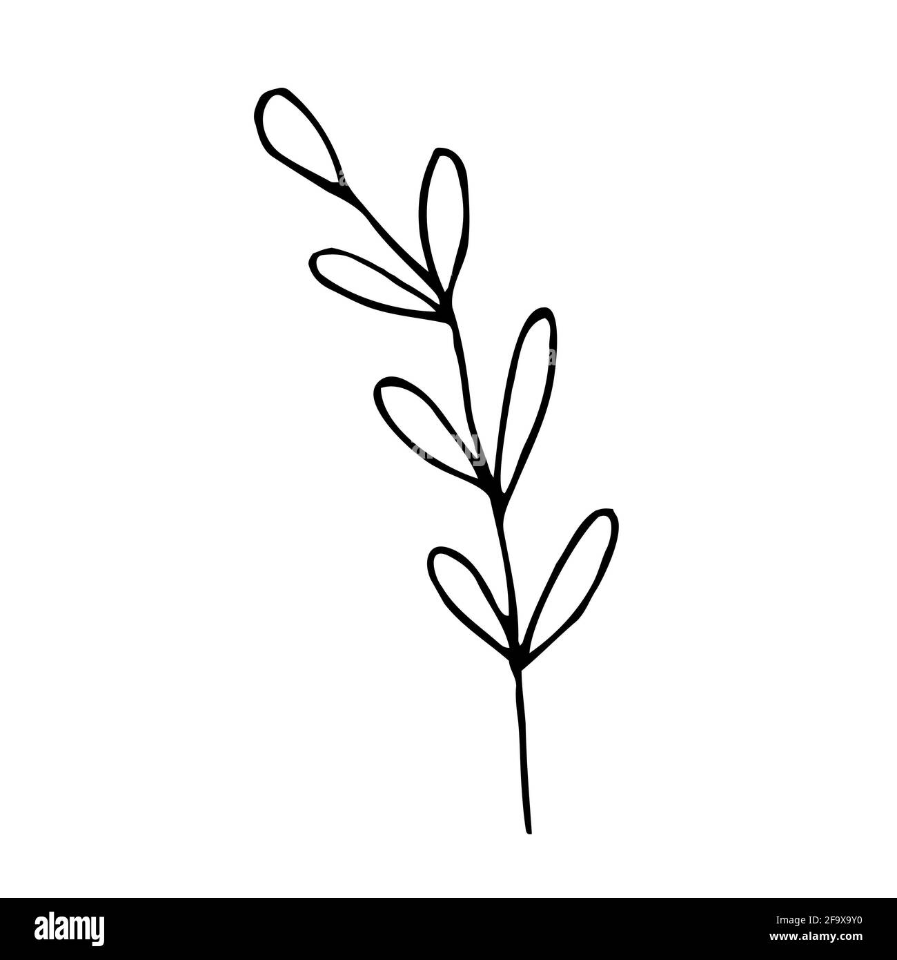 branche vectorielle avec feuilles noires et blanches. Illustration botanique minimaliste, dessin à la main Banque D'Images